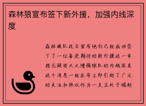 森林狼宣布签下新外援，加强内线深度